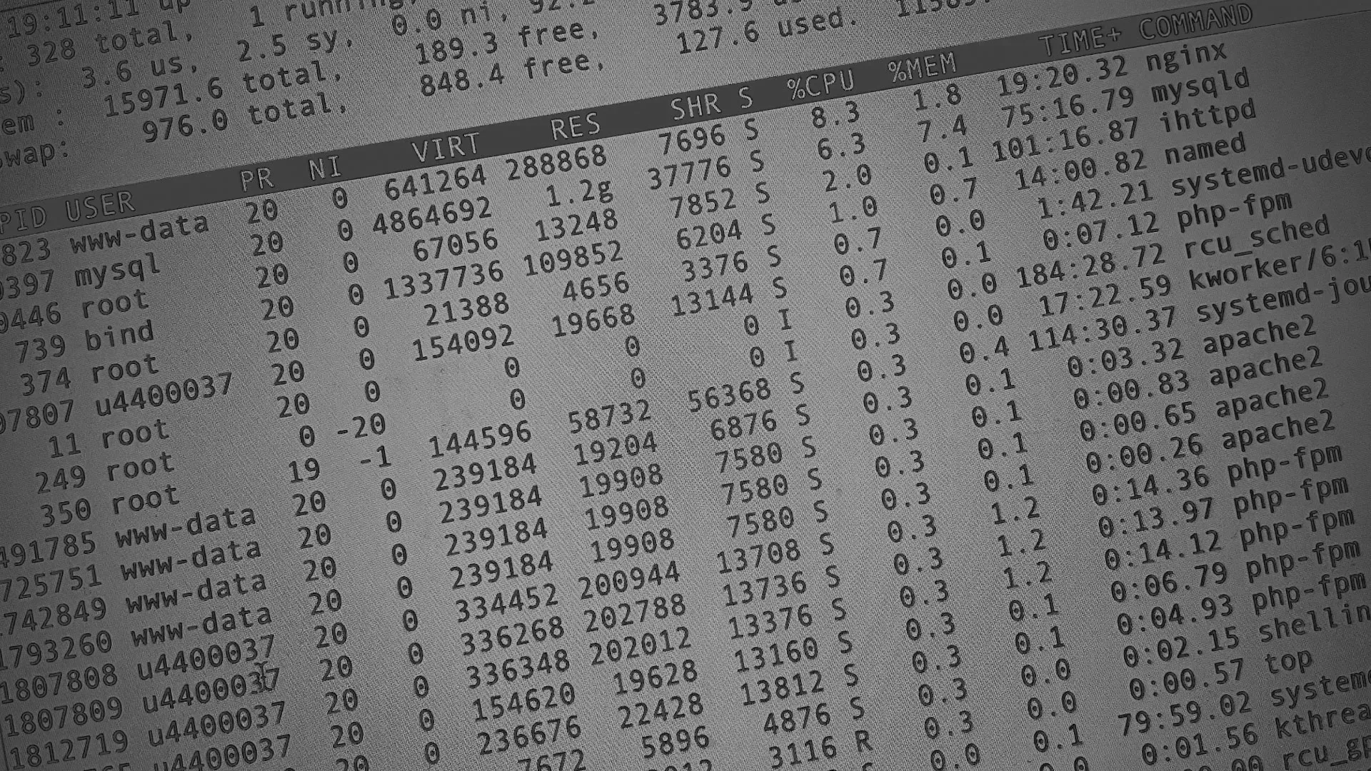 Настройка сервера в Шали