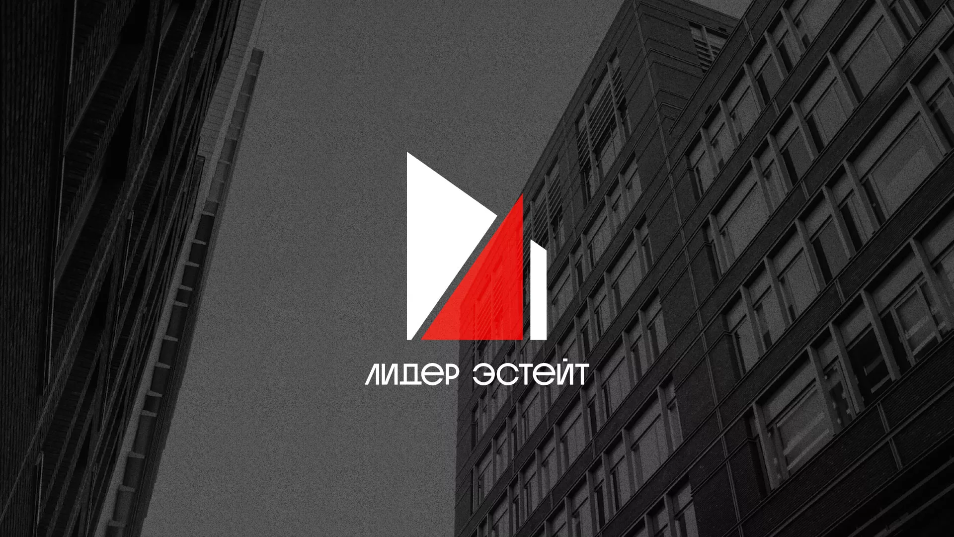 Сделали логотип для агентства недвижимости «Лидер Эстейт» в Шали